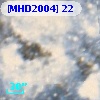 [MHD2004]  22
