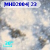 [MHD2004]  23