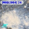 [MHD2004]  24