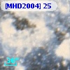 [MHD2004]  25