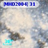 [MHD2004]  31