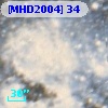 [MHD2004]  34