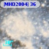 [MHD2004]  36