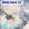 [MHD2004]  37