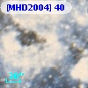 [MHD2004]  40