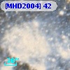 [MHD2004]  42