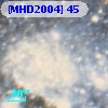 [MHD2004]  45