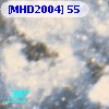 [MHD2004]  55