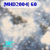 [MHD2004]  60