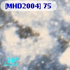 [MHD2004]  75