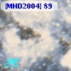 [MHD2004]  89