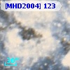 [MHD2004] 123