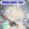 [MHD2004] 160