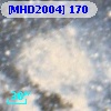 [MHD2004] 170