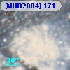 [MHD2004] 171