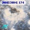 [MHD2004] 174
