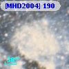 [MHD2004] 190