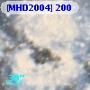[MHD2004] 200