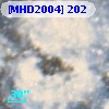 [MHD2004] 202