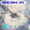 [MHD2004] 203