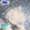 [MHD2004] 206