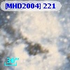 [MHD2004] 221