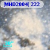 [MHD2004] 222