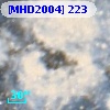 [MHD2004] 223