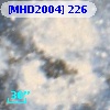 [MHD2004] 226