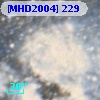 [MHD2004] 229