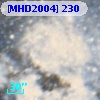 [MHD2004] 230