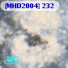 [MHD2004] 232