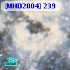 [MHD2004] 239