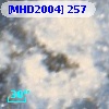 [MHD2004] 257