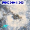 [MHD2004] 263