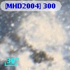 [MHD2004] 300