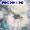 [MHD2004] 303