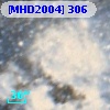 [MHD2004] 306