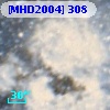 [MHD2004] 308