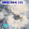 [MHD2004] 315