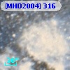 [MHD2004] 316