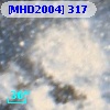 [MHD2004] 317