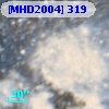 [MHD2004] 319