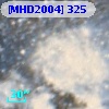 [MHD2004] 325