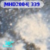 [MHD2004] 339