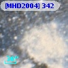 [MHD2004] 342