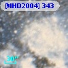 [MHD2004] 343