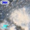 [MHD2004] 361