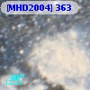 [MHD2004] 363