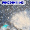 [MHD2004] 403